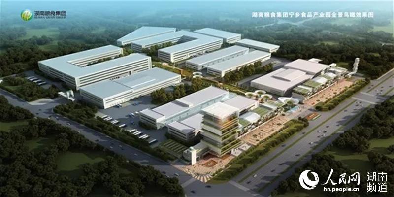 探訪寧鄉經開區 國內首家機械化米餃生產線，開啟糧食加工食品新篇章