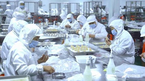 平原縣 發力糧食精深加工，構建食品產業全鏈條新版圖